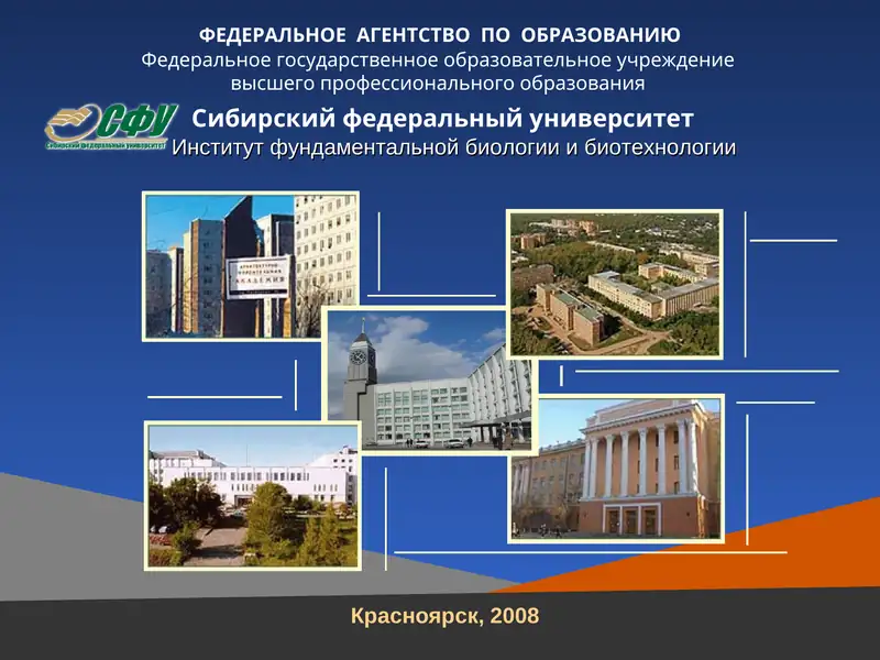 Электронный учебно-методический комплекс