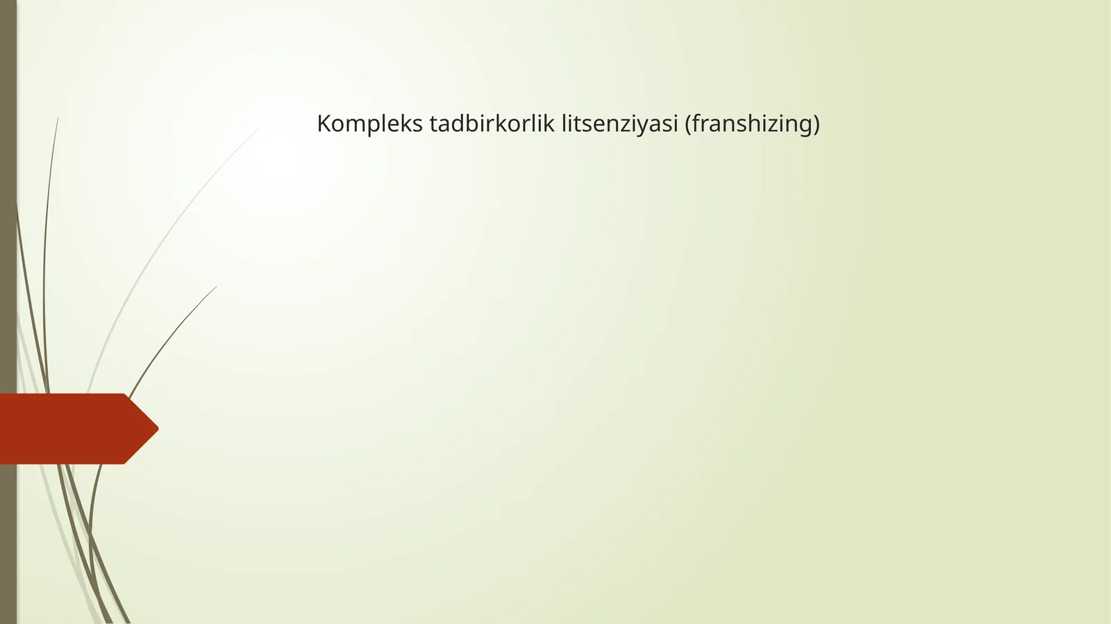 Komplekstadbirkorliklitsenziyasi(franshizing)