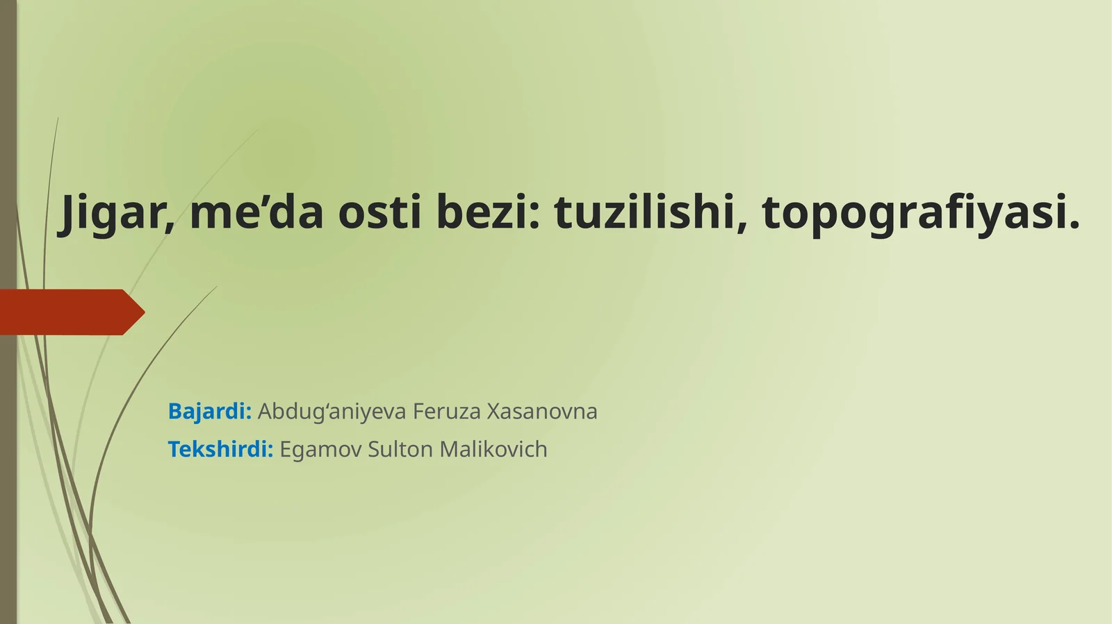 Jigar, me’da osti bezi: tuzilishi, topografiyasi