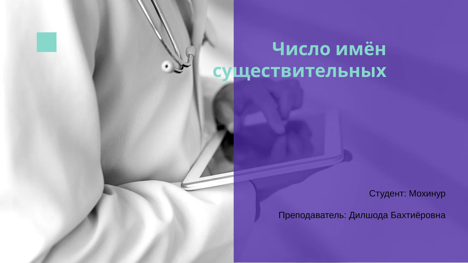 Число имён существительных
