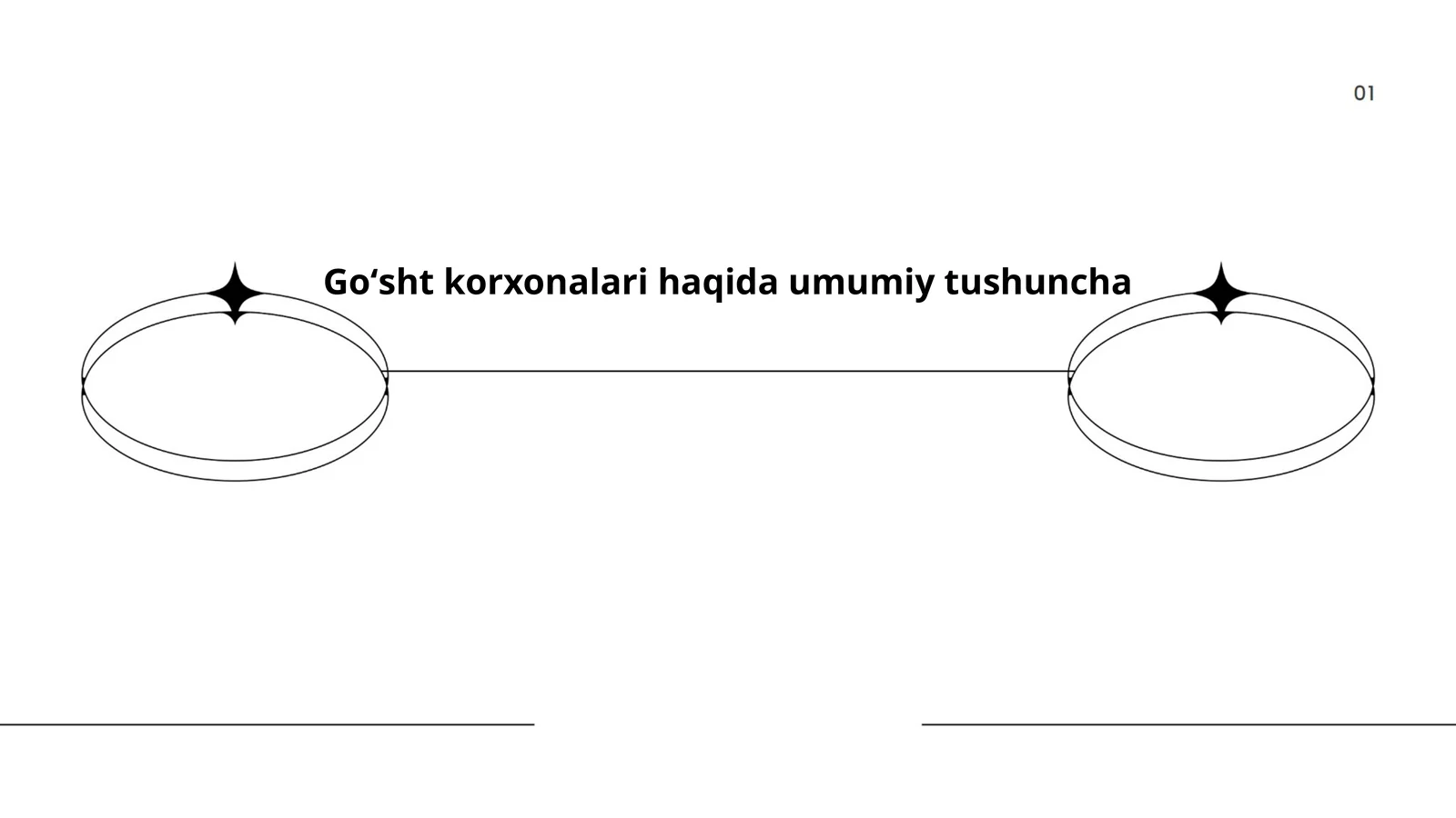 Go'sht korxonalari haqida umumiy tushuncha