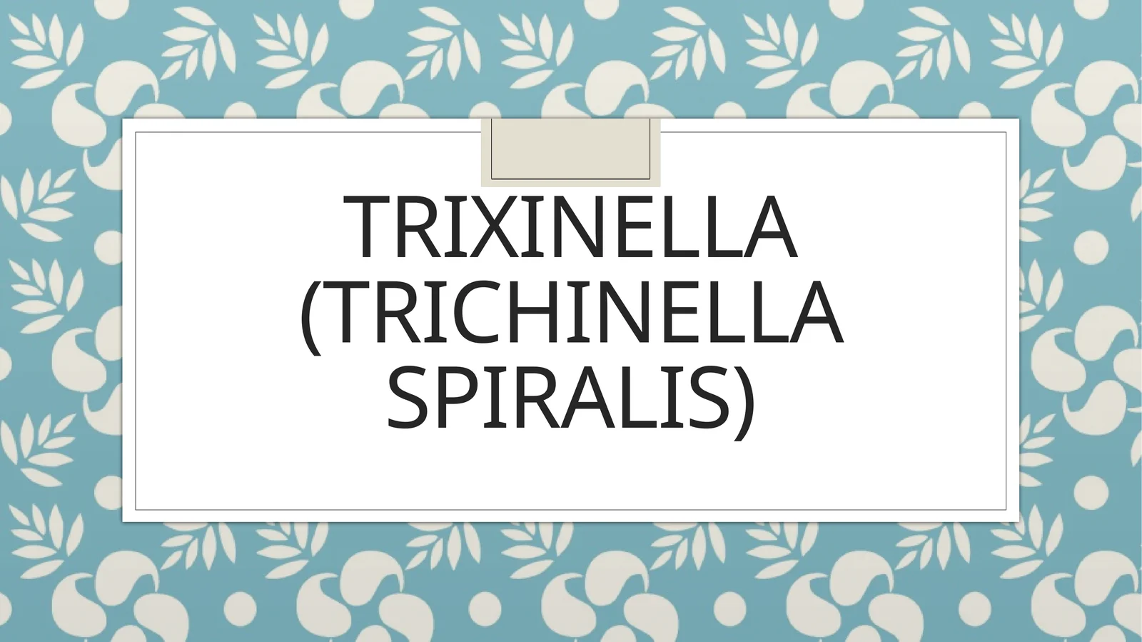 Trixinella(Trichinella spiralis)