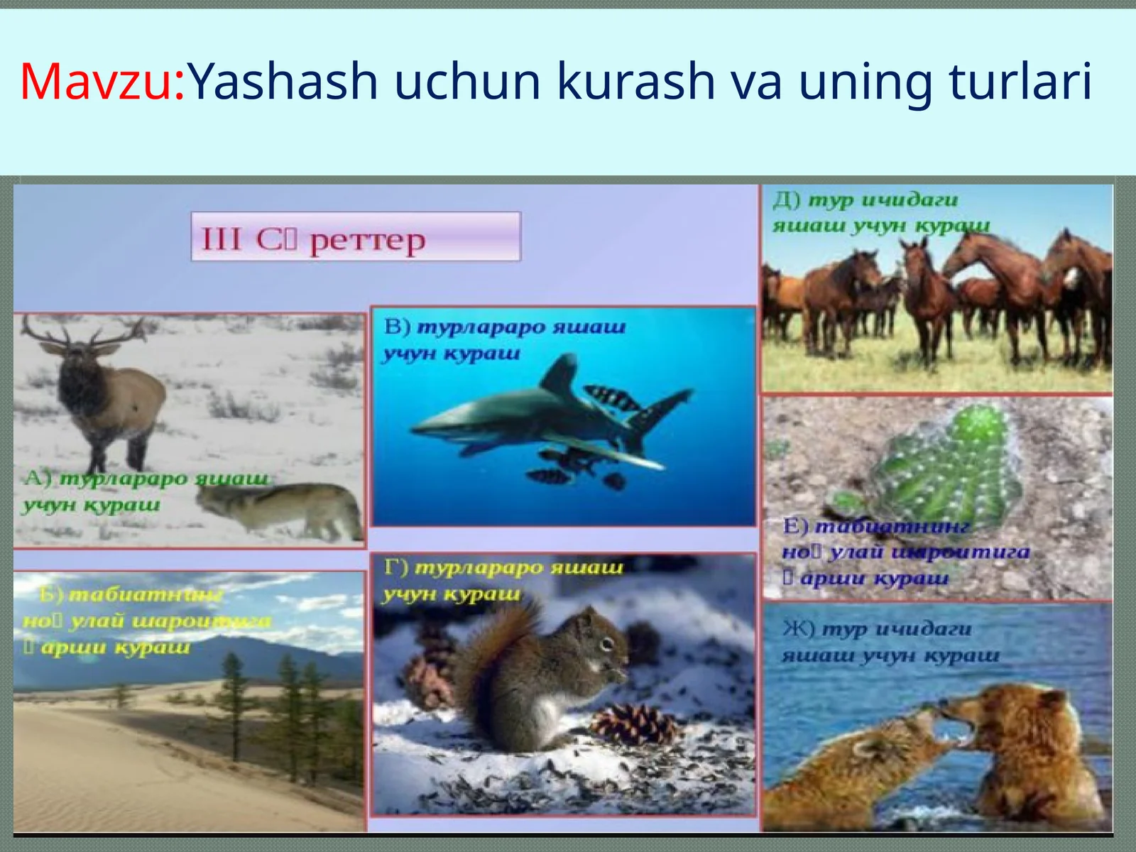 Yashashuchunkurash vauning turlari