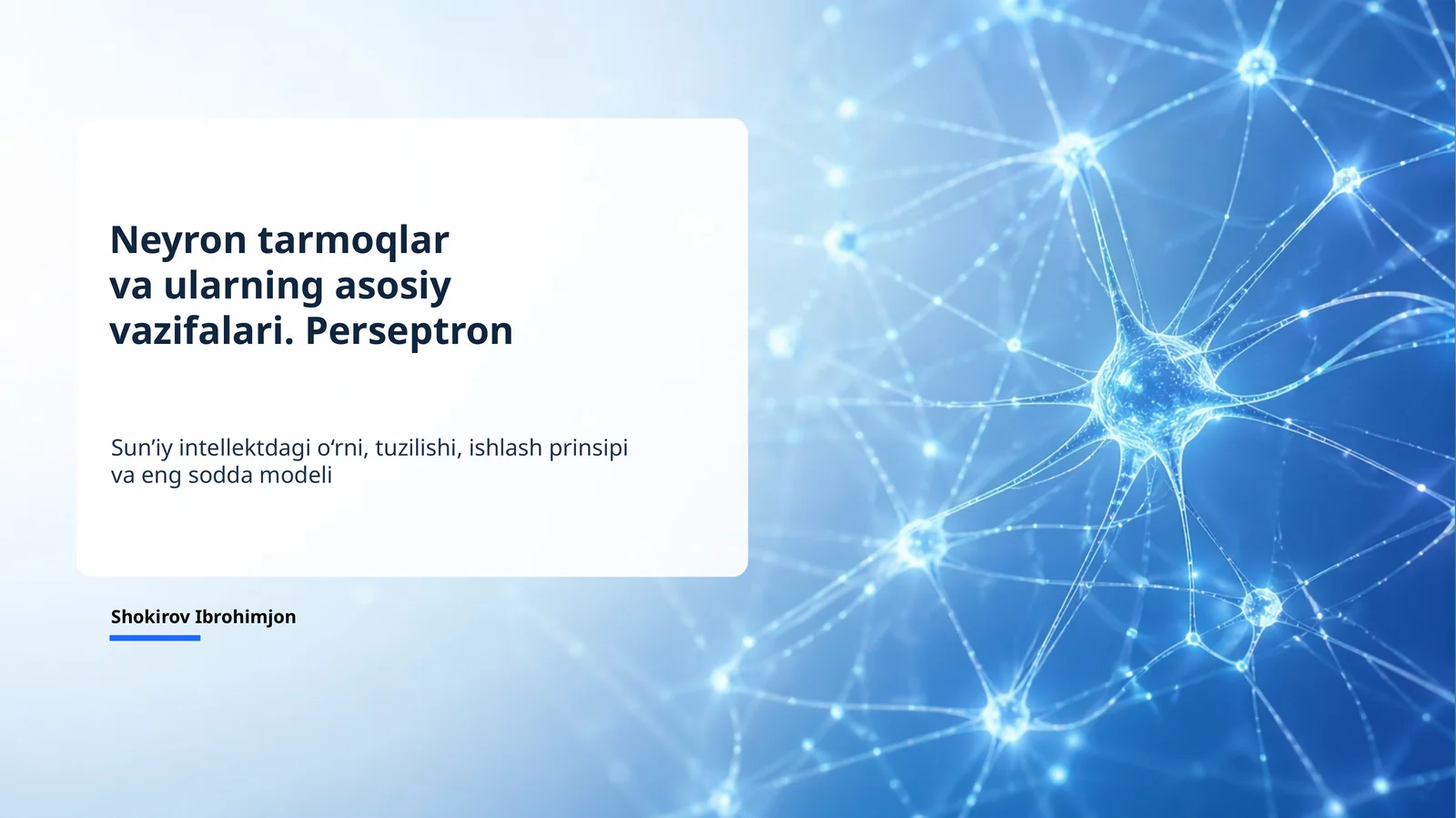 Neyron tarmoqlar va perseptron mustaqil ish
