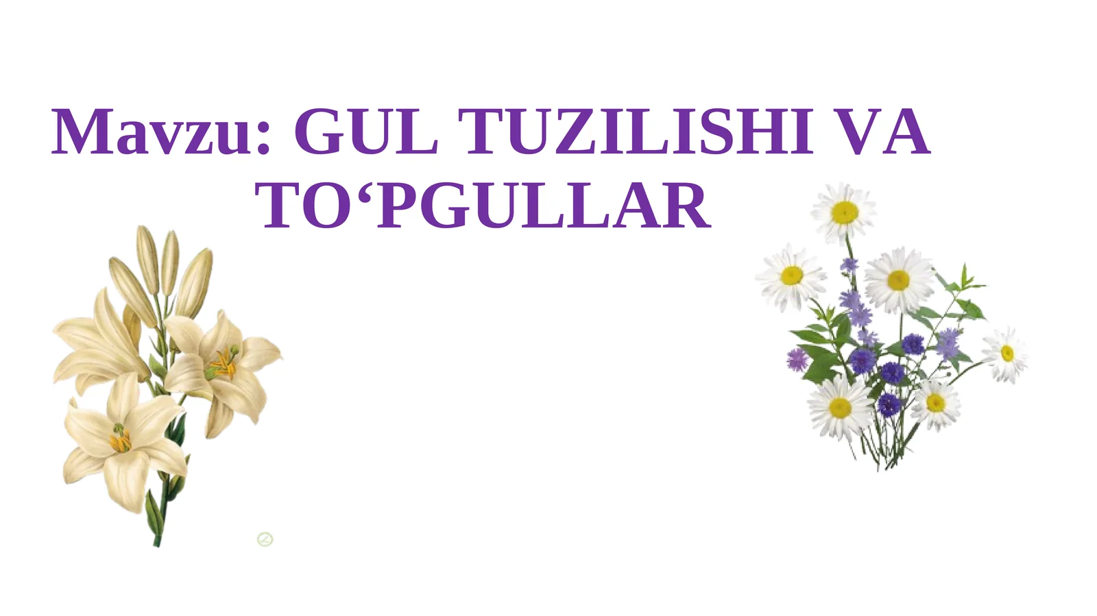 GUL TUZILISHI VA TO‘PGULLAR