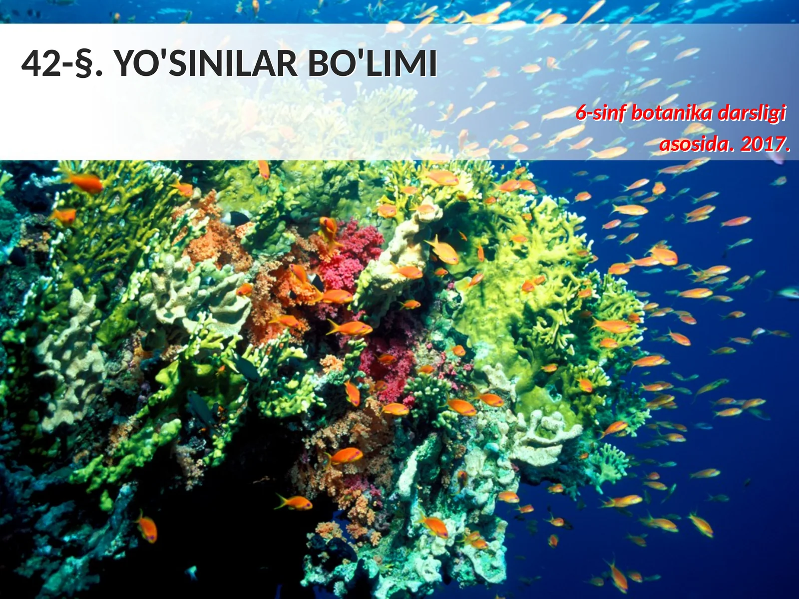 6-sinf Botanika Yo'sinilar bo'limi