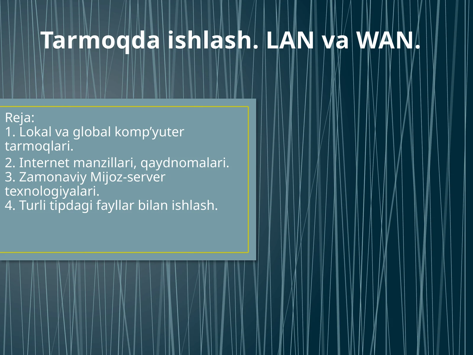 Tarmoqda ishlash. LAN va WAN