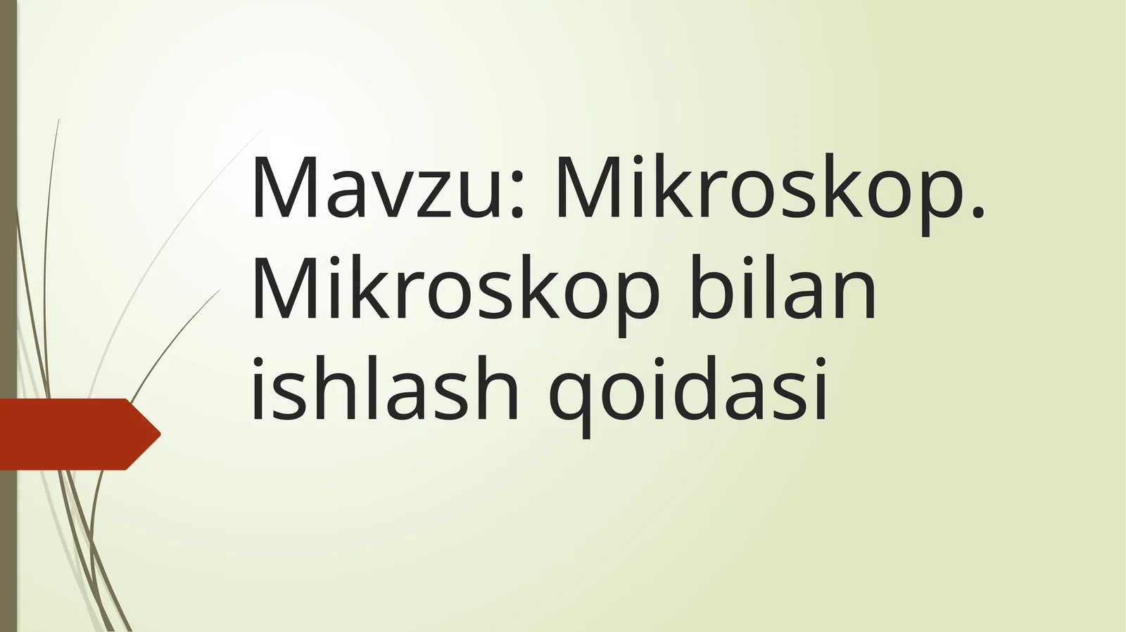Mikroskop