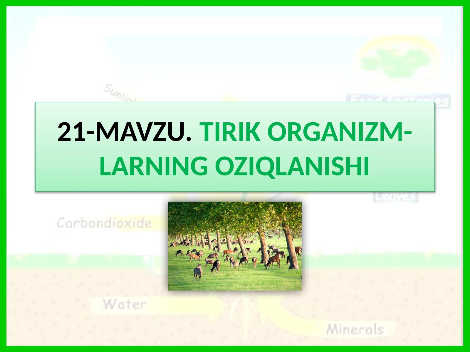 TIRIK ORGANIZM-LARNING OZIQLANISHI