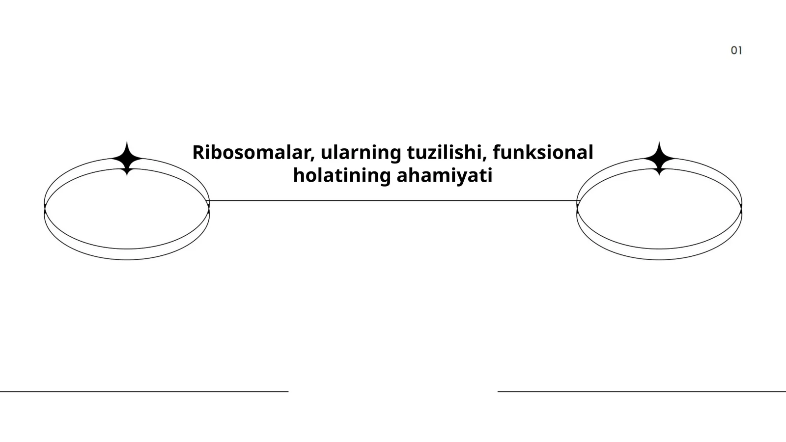 Ribosomalarning tuzilishi va funksiyalari