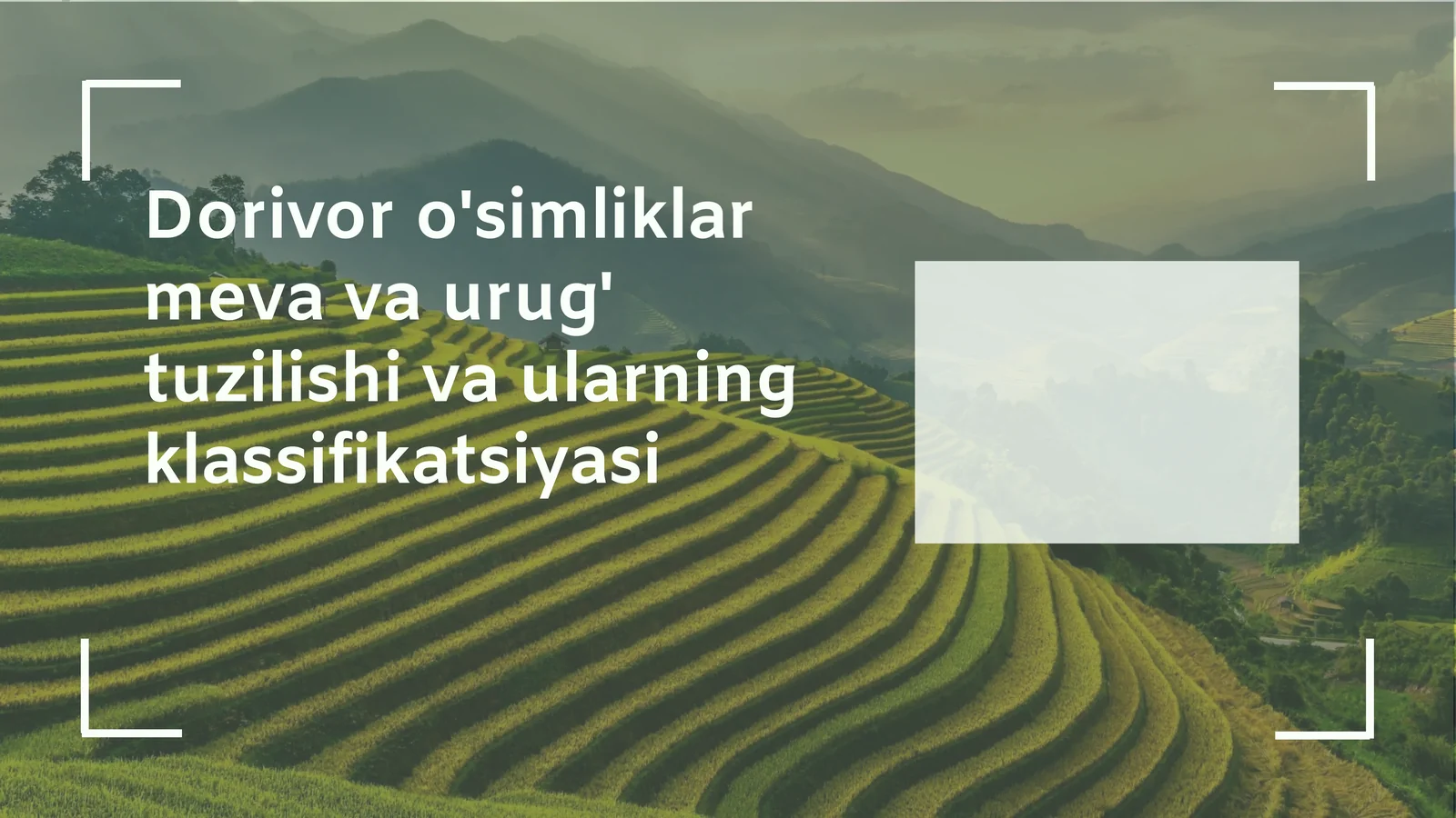 Meva va urug' tuzilishining klassifikatsiyasi