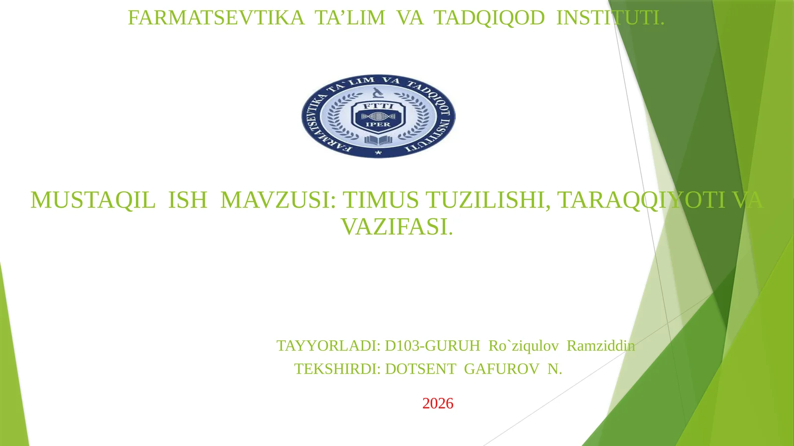 Timus Tuzyilishi, Taraqqiyoti va Vazifasi
