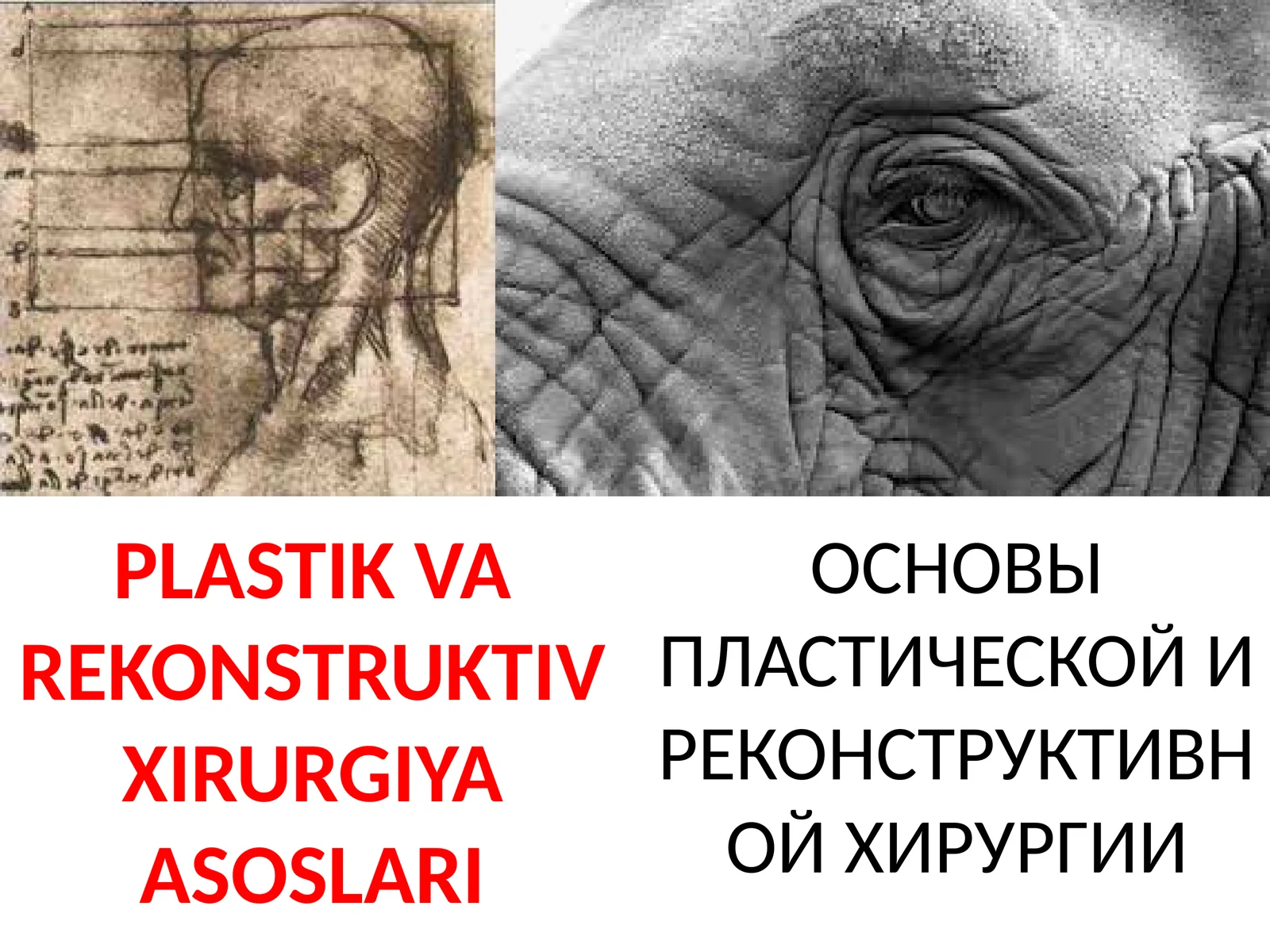 PLASTIK VA RЕKONSTRUKTIV XIRURGIYA ASOSLARI