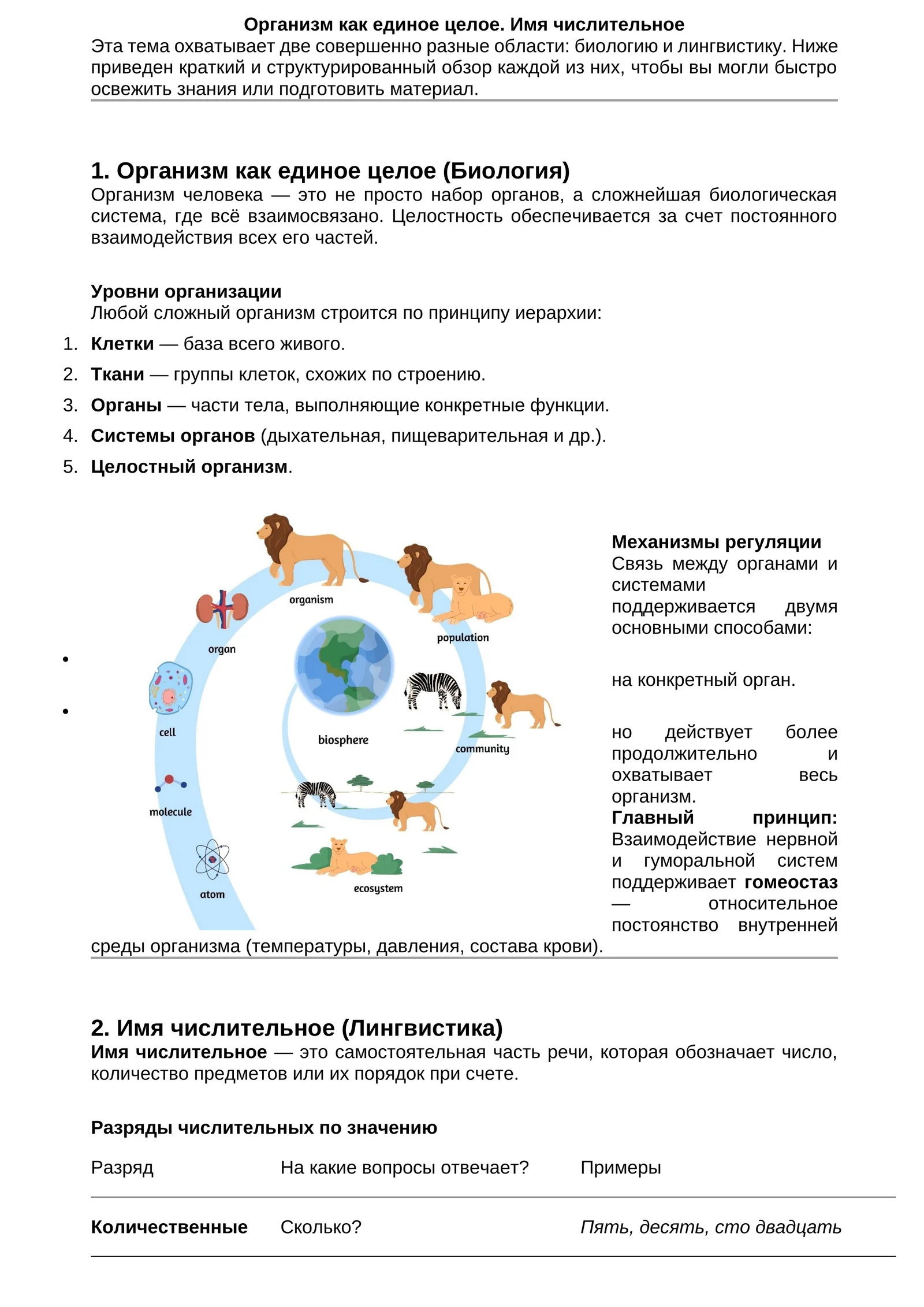 Организм как единое целое. Имя числительное