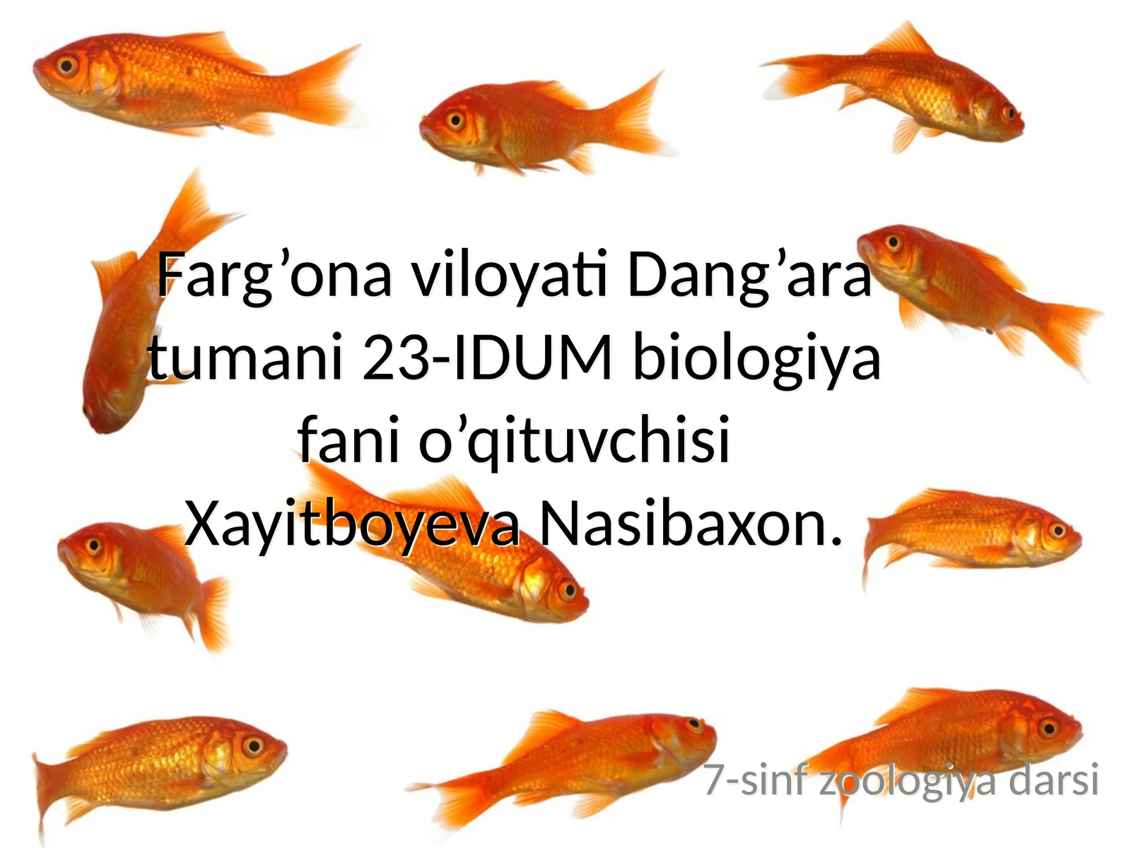 7-sinf zoologiya darsi