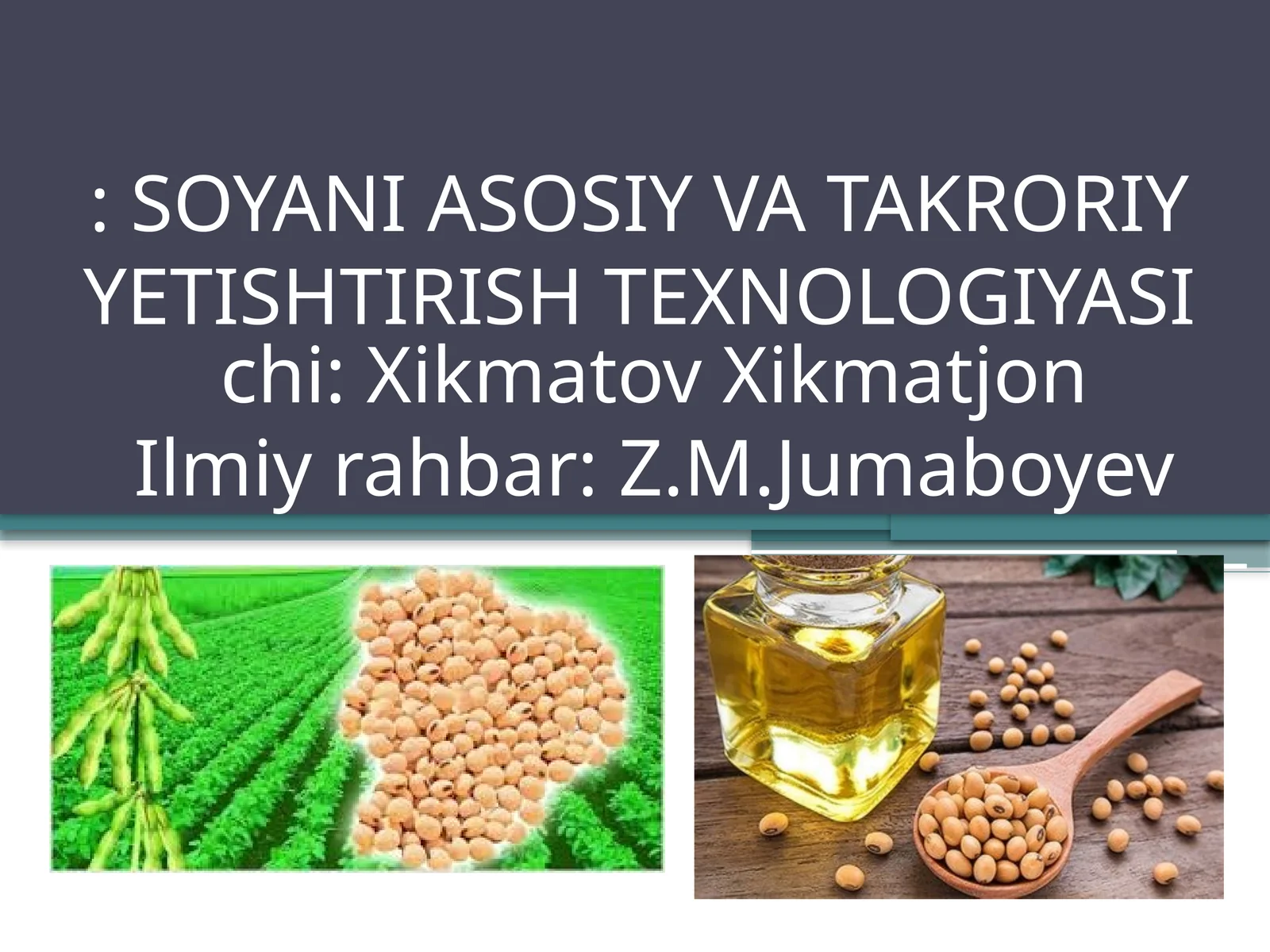 SOYANI ASOSIY VA TAKRORIY YETISHTIRISH TEXNOLOGIYASI