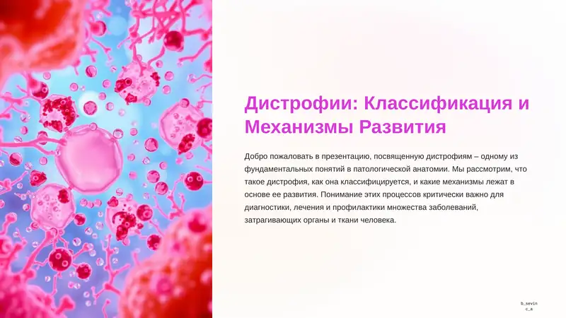 Дистрофия. Классификация и механизмы.