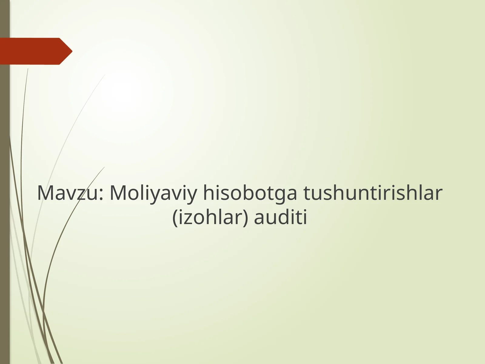 Moliyaviy hisobotga tushuntirishlar (izohlar) auditi