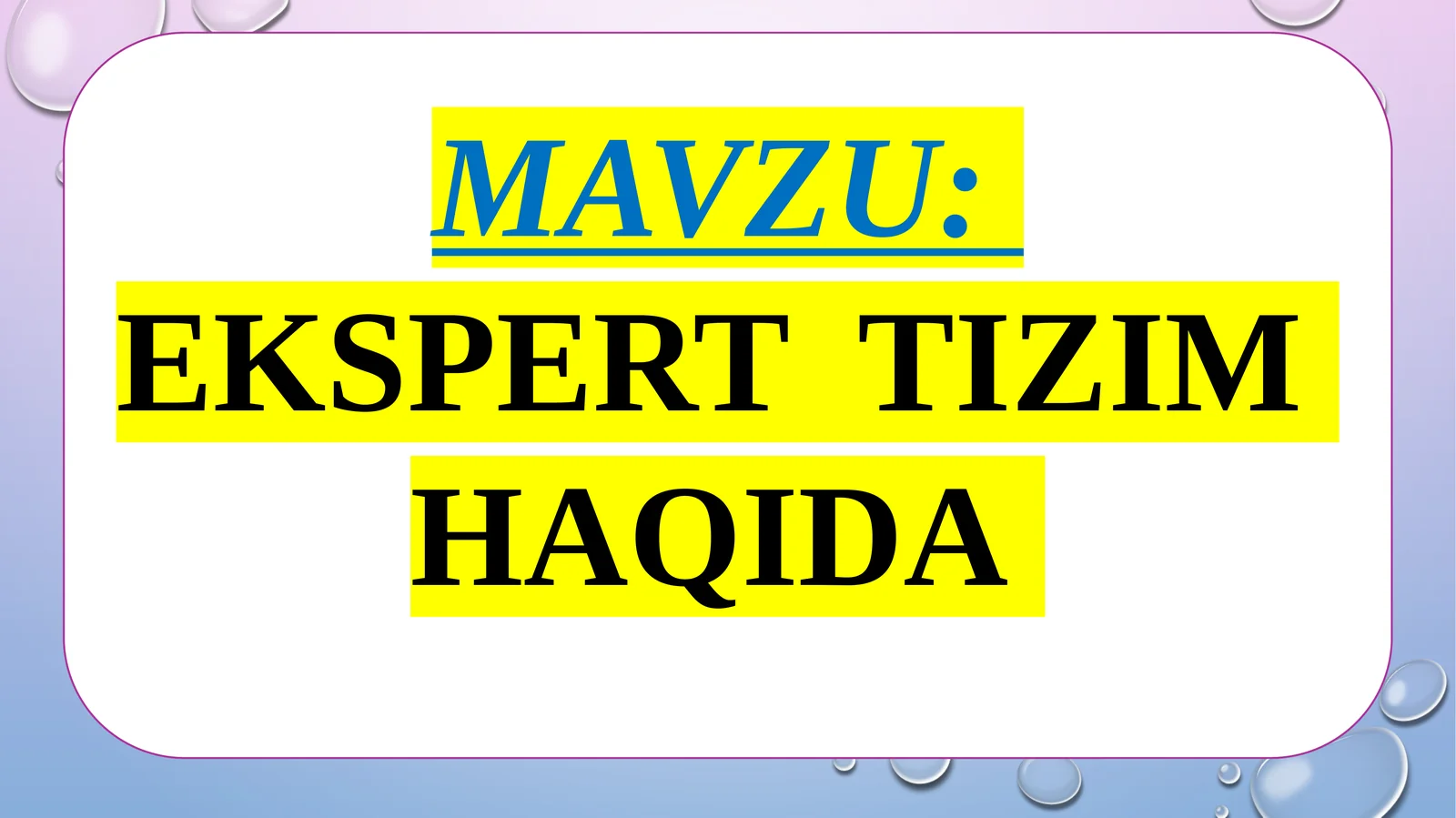 EKSPERT TIZIM HAQIDA