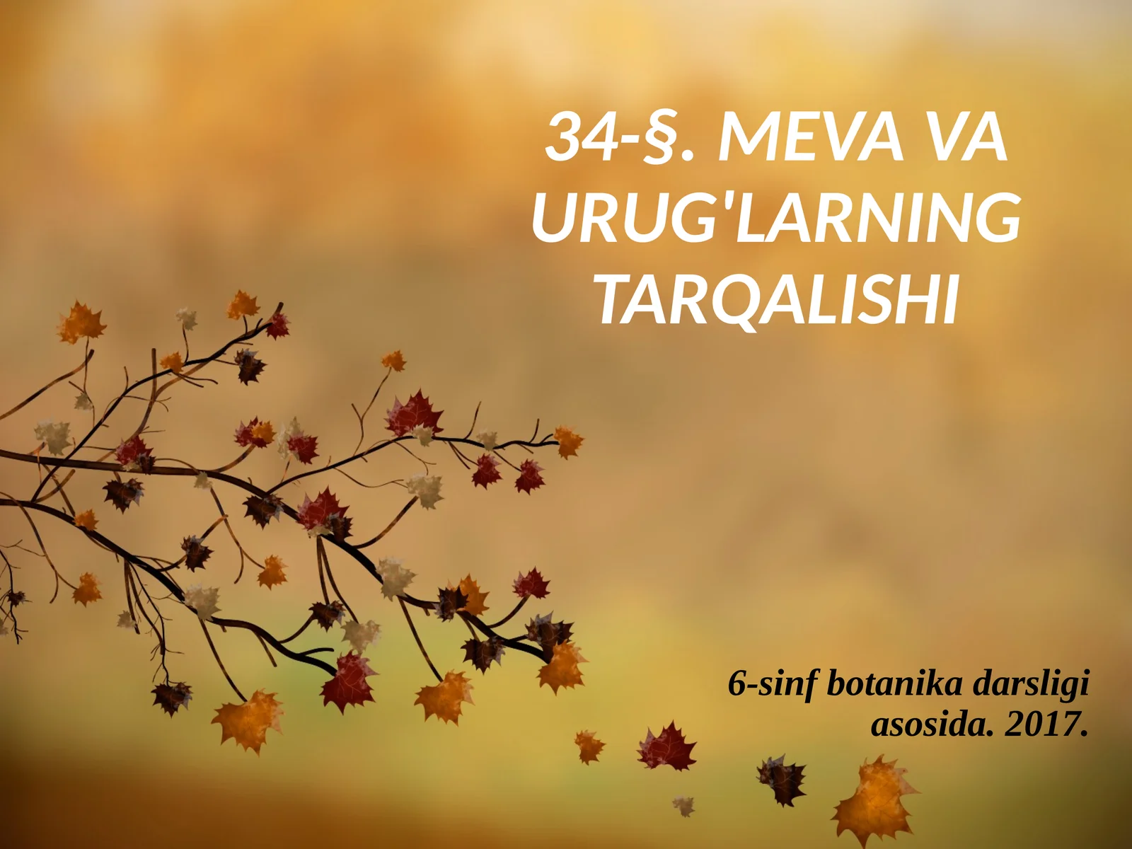 6-sinf Botanika Meva va urug'larning tarqalishi