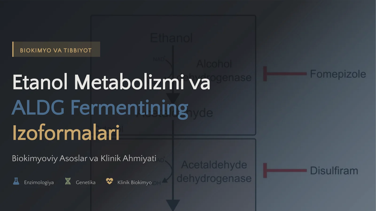 Etanol Metabolizmi va ALDG Fermentining Izoformalari Biokimyoviy Asoslar va Klinik Ahmiyati