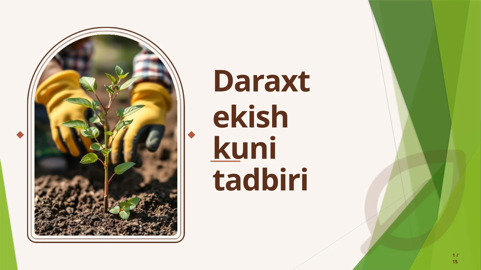 Daraxt ekishkuni tadbiri