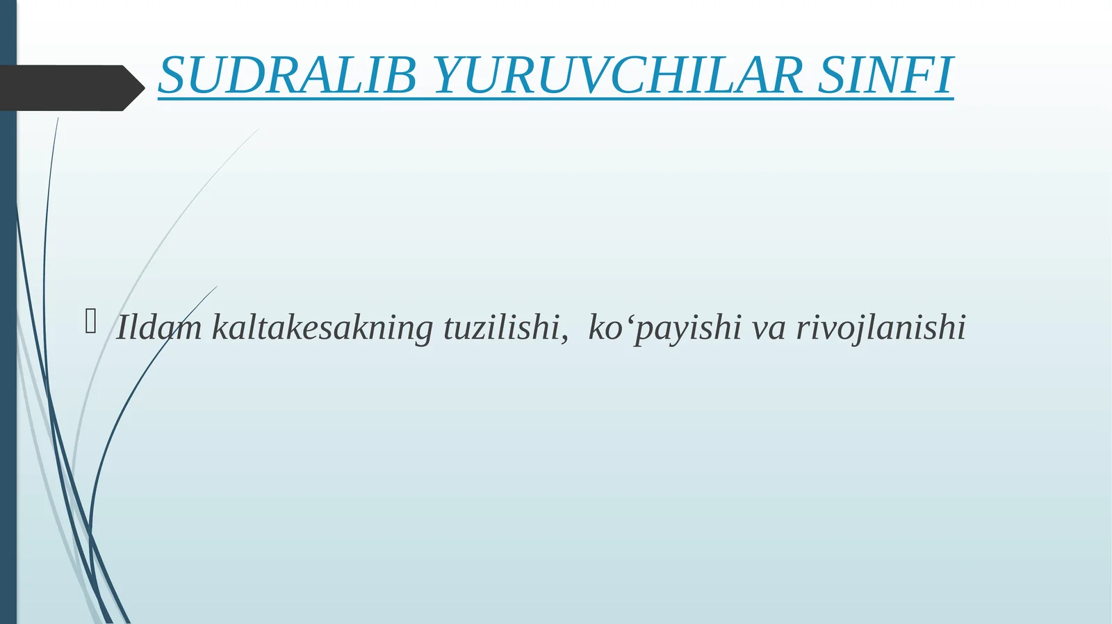 SUDRALIB YURUVCHILAR SINFI