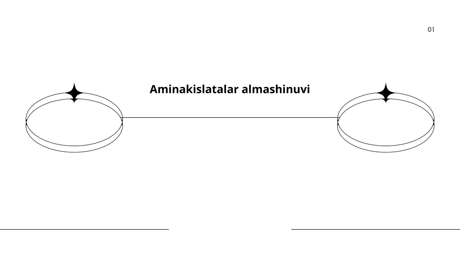 Aminokislotalar almashinuvi