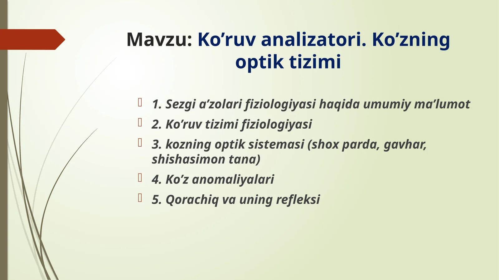 koʻz fiziologiyasi