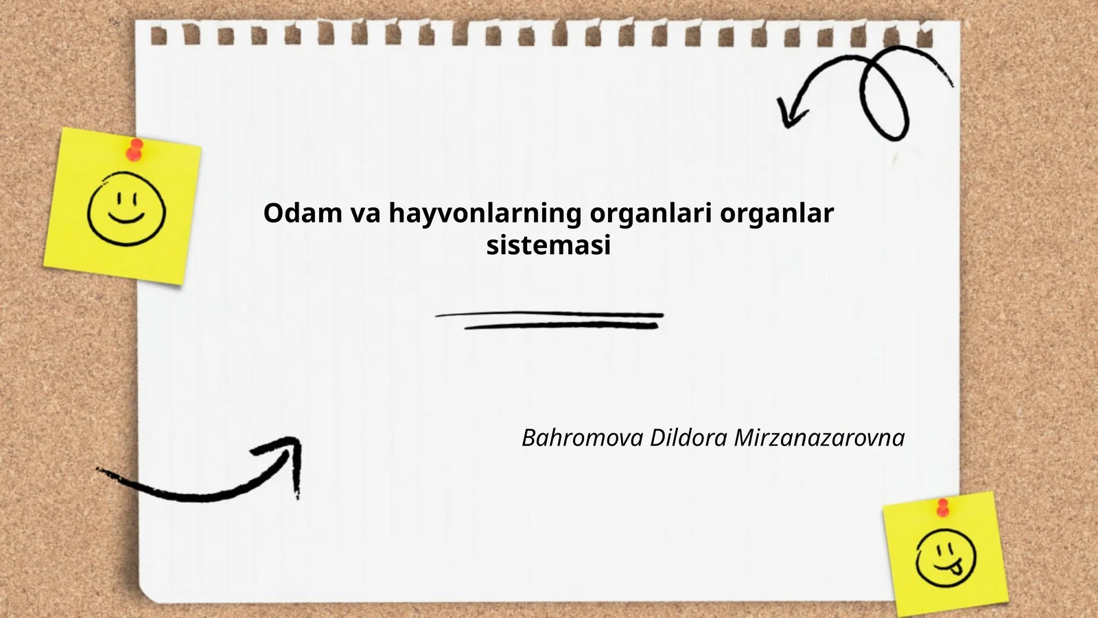 Yurak va qon tomirlar tizimi