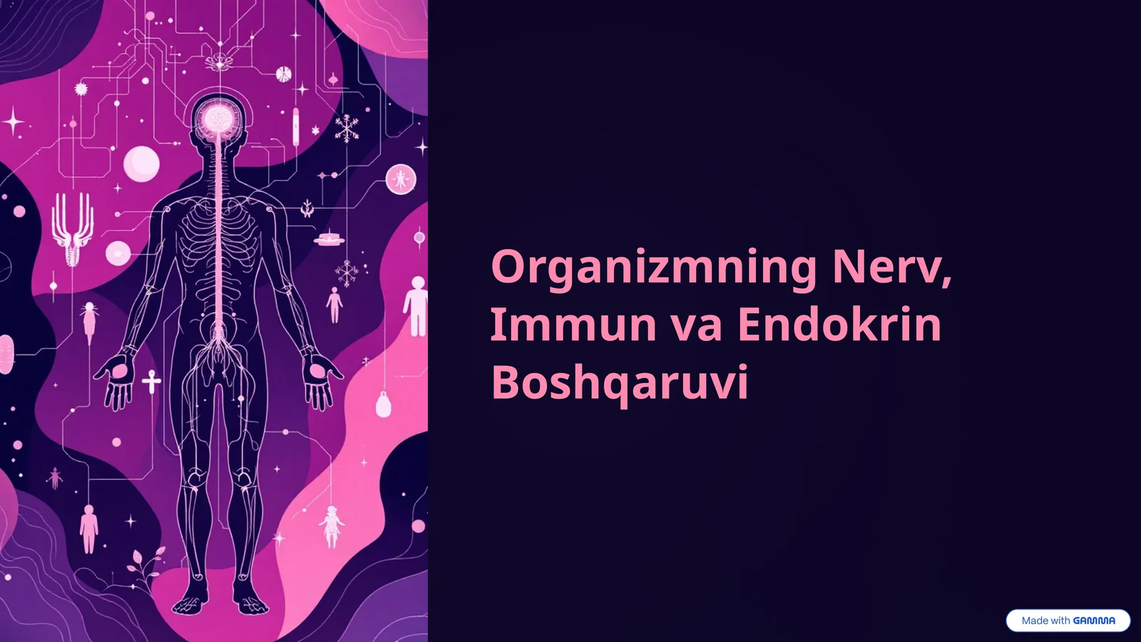 Organizmning Nerv, Immun va Endokrin Boshqaruvi