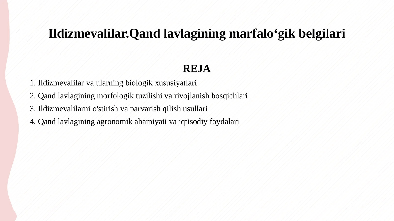 Ildizmevalilar.Qand lavlagining marfaloʻgik belgilari
