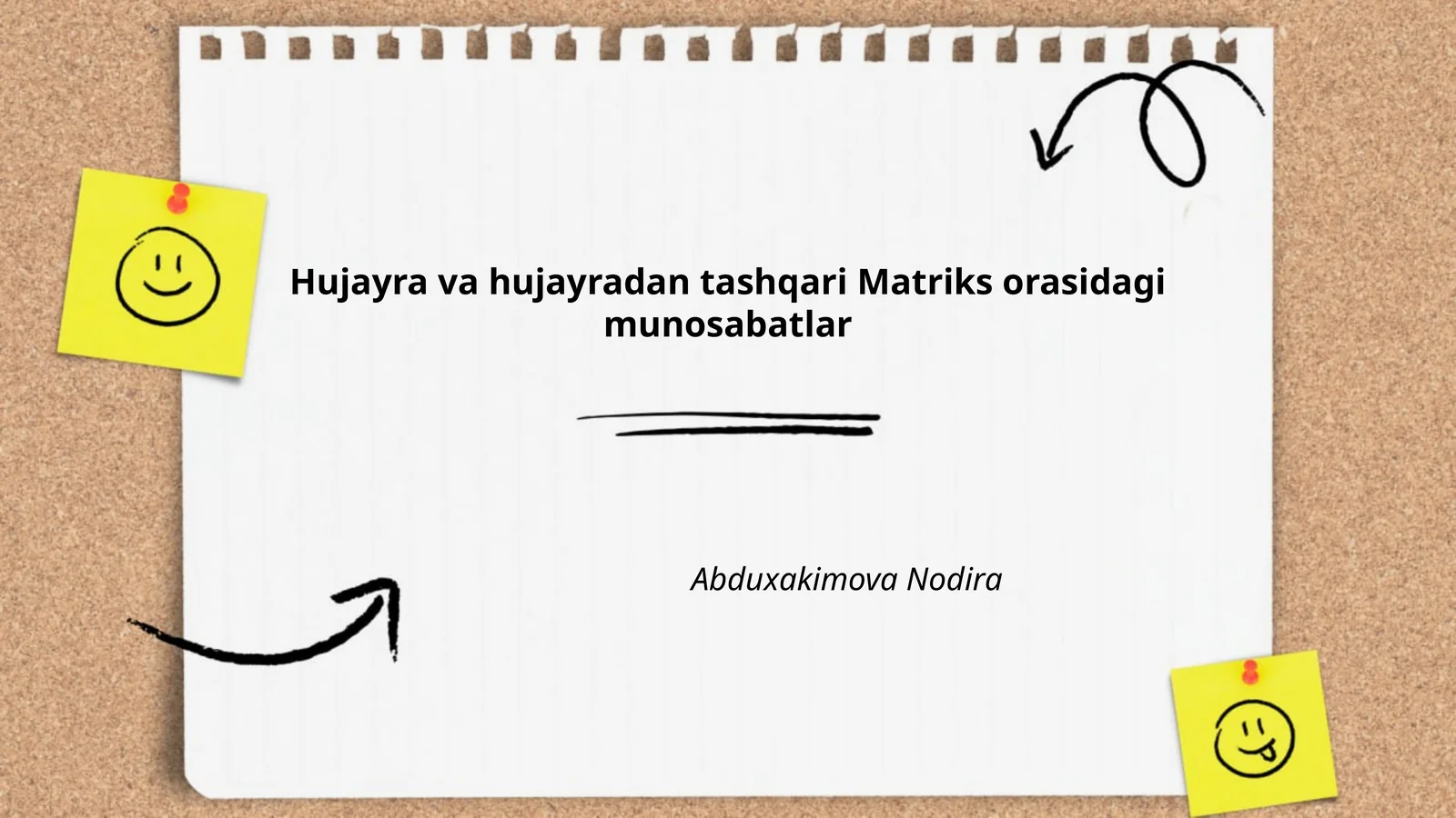 Hujayra va hujayradan tashqari Matriks orasidagi munosabatlar