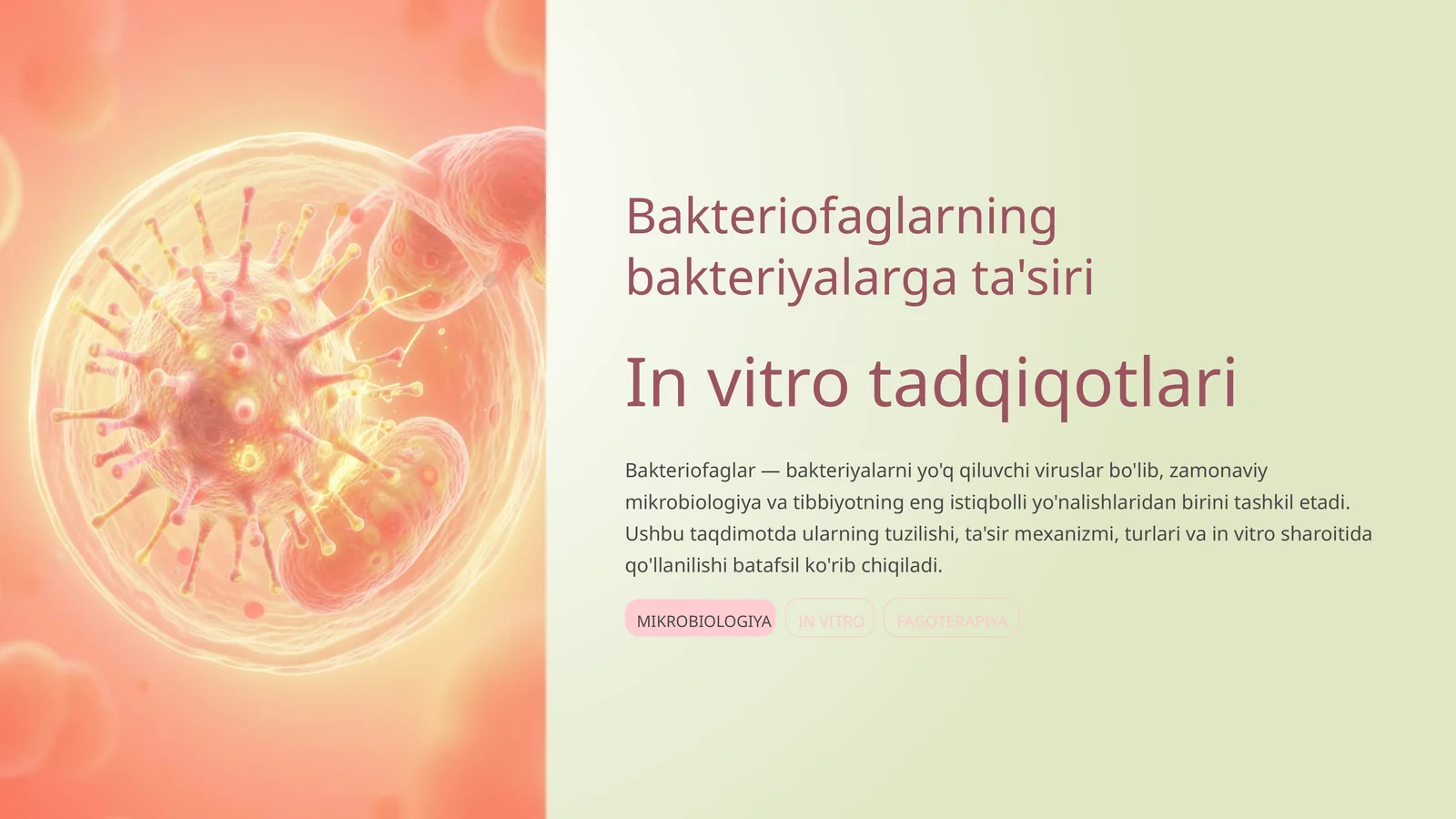 Bakteriofaglarning bakteriyalarga ta'siri