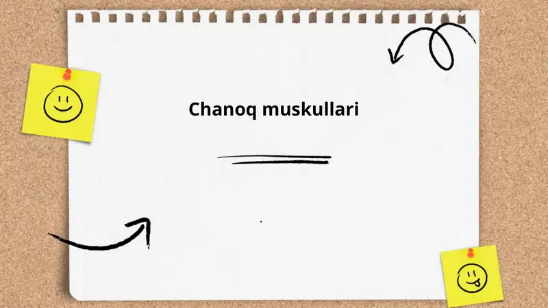 Chanoq muskullari