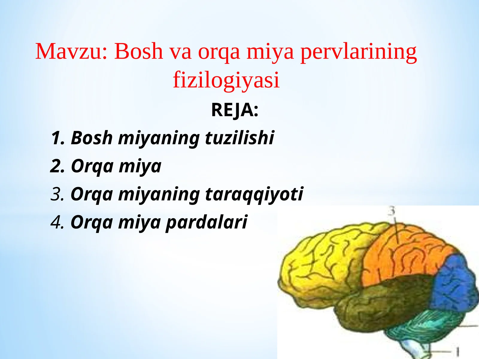 Bosh va orqa miya pervlarining fizilogiyasi