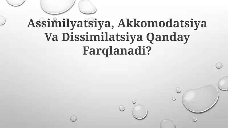 Assimilyatsiya, Akkomodatsiya Va Dissimilatsiya