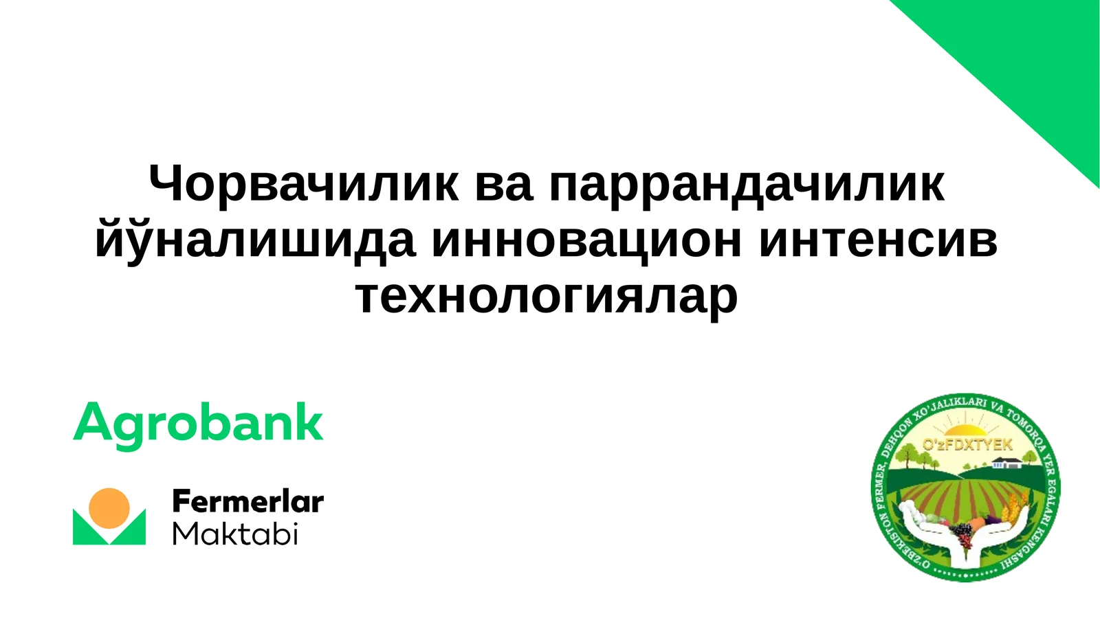 Чорвачиликда паррандачилик йўналишида инновацион интенсив технологиялар