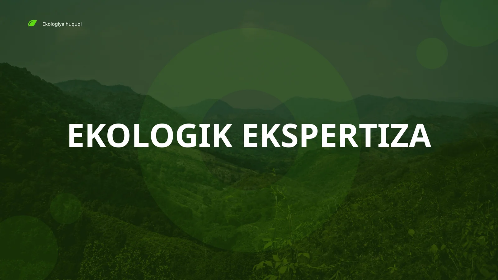EKOLOGIK EKSPERTIZA