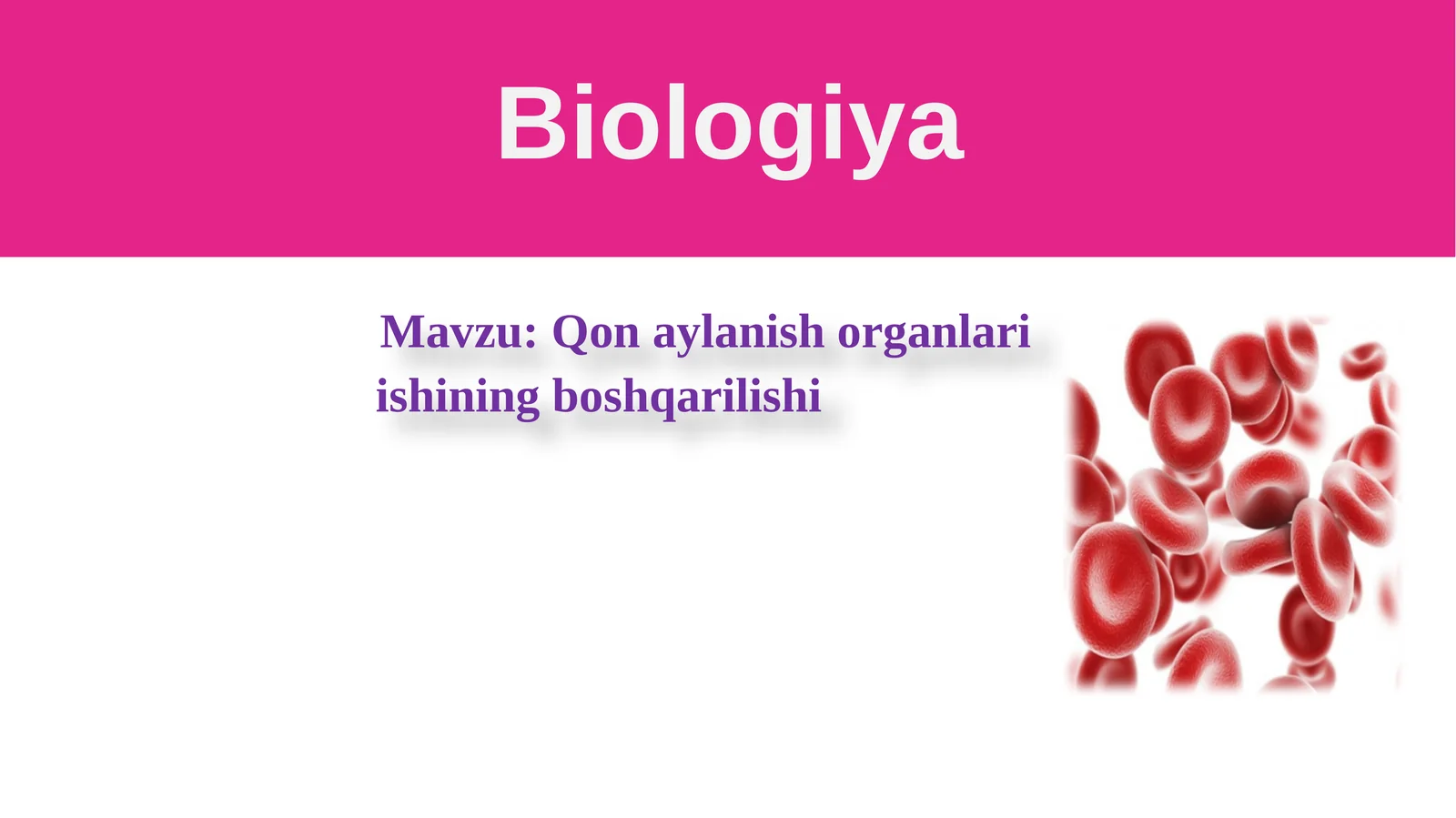 Qonaylanish Organlari Ishini Boshqarilishi