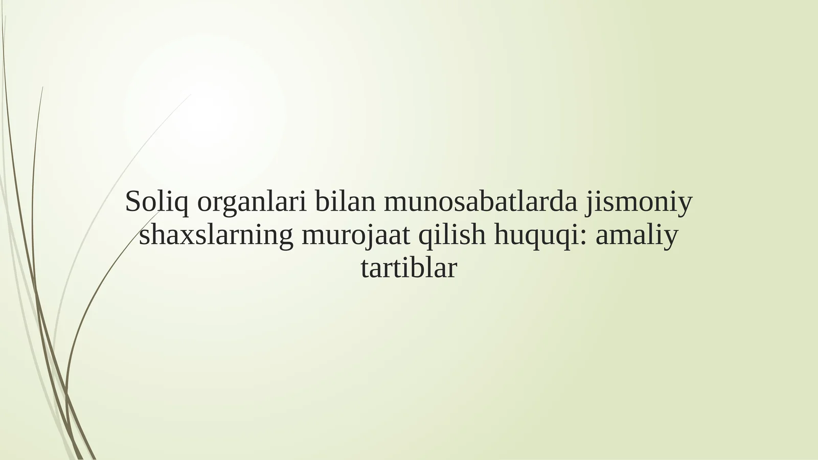 Soliq organlari bilan munosabatlarda jismoniy shaxslarning murojaat qilish huquqi amaliy tartiblar