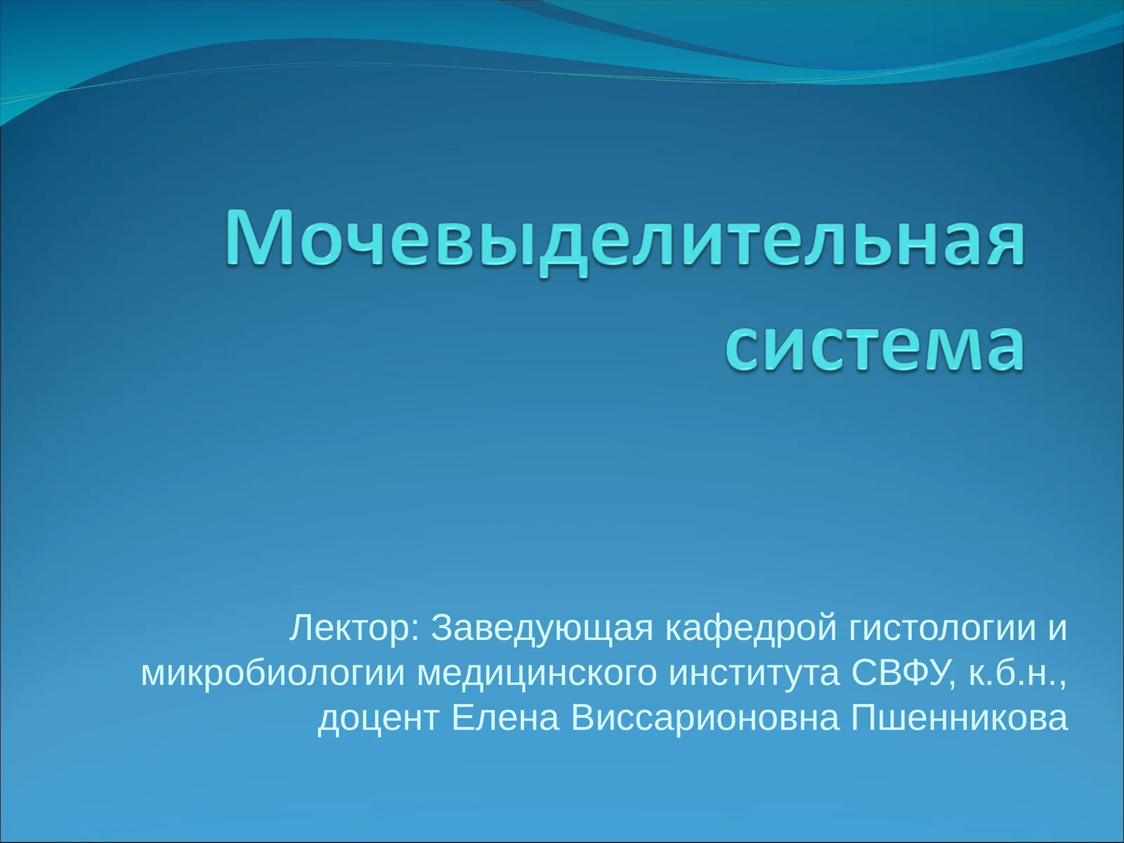 Мочевыделительная система