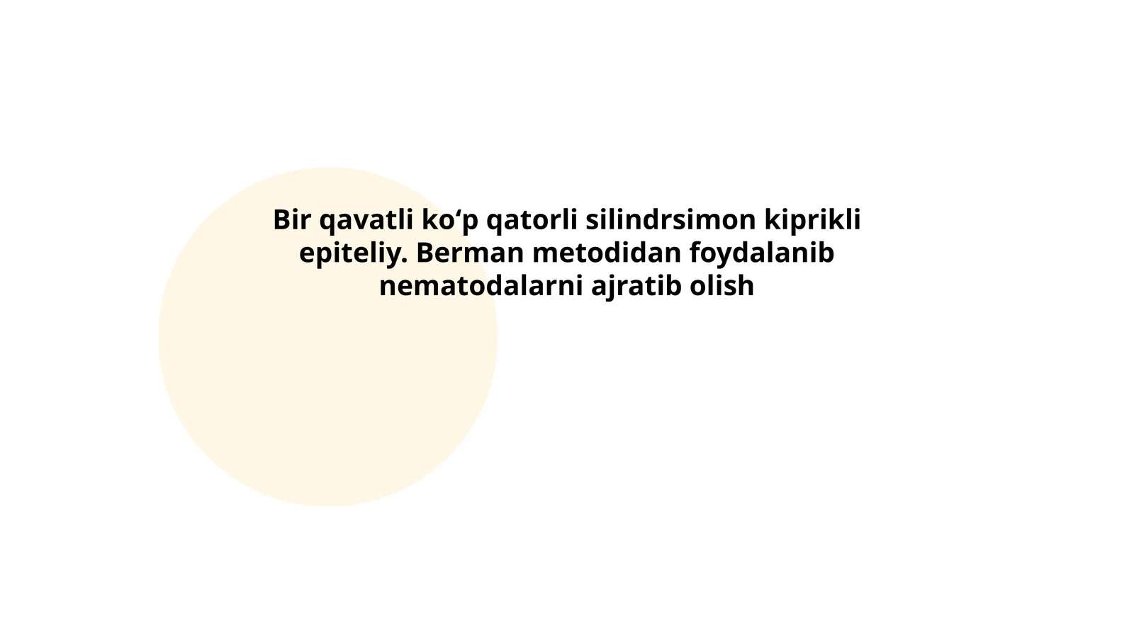 Bir qavatli koʻp qatorli silindrsimon kiprikli epiteliy