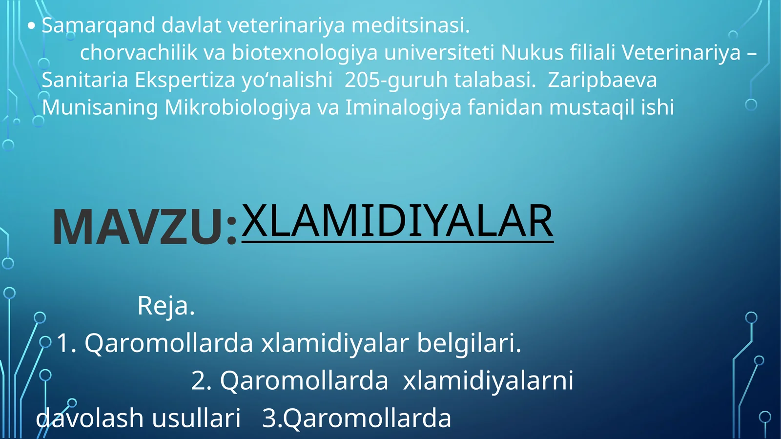 Qoramoldagi xlamidiya