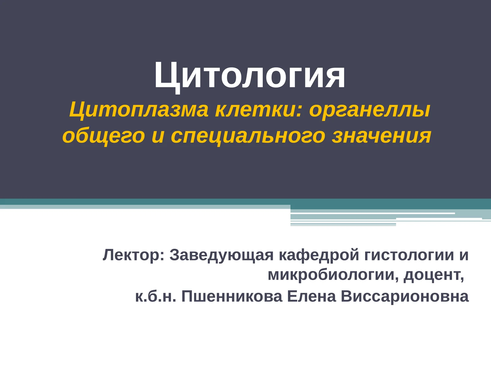 Цитоплазма клетки: органеллы общего и специального значения