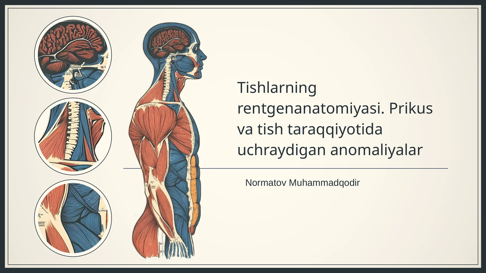 Tishlarning rentgenanatomiyasi. Prikus va tish taraqqiyotida uchraydigan anomaliyalar
