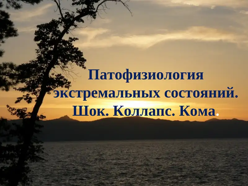 Экстремальные состояния. Шок. Коллапс. Кома