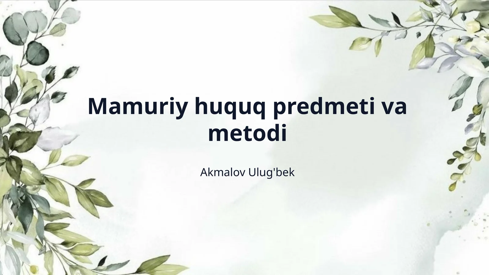 Mamuriy huquq predmeti va metodi