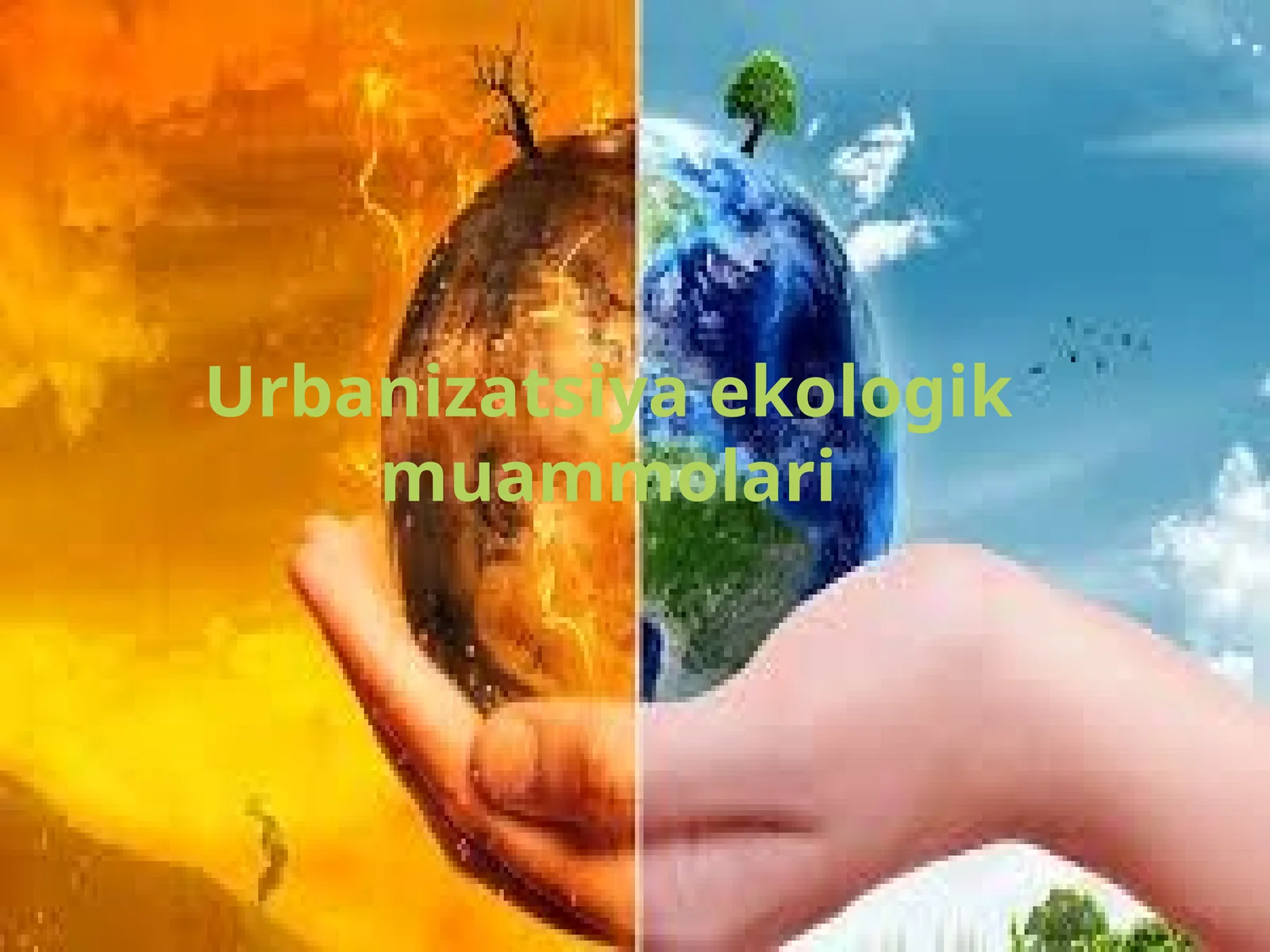 Urbanizatsiya ekologik muammolari