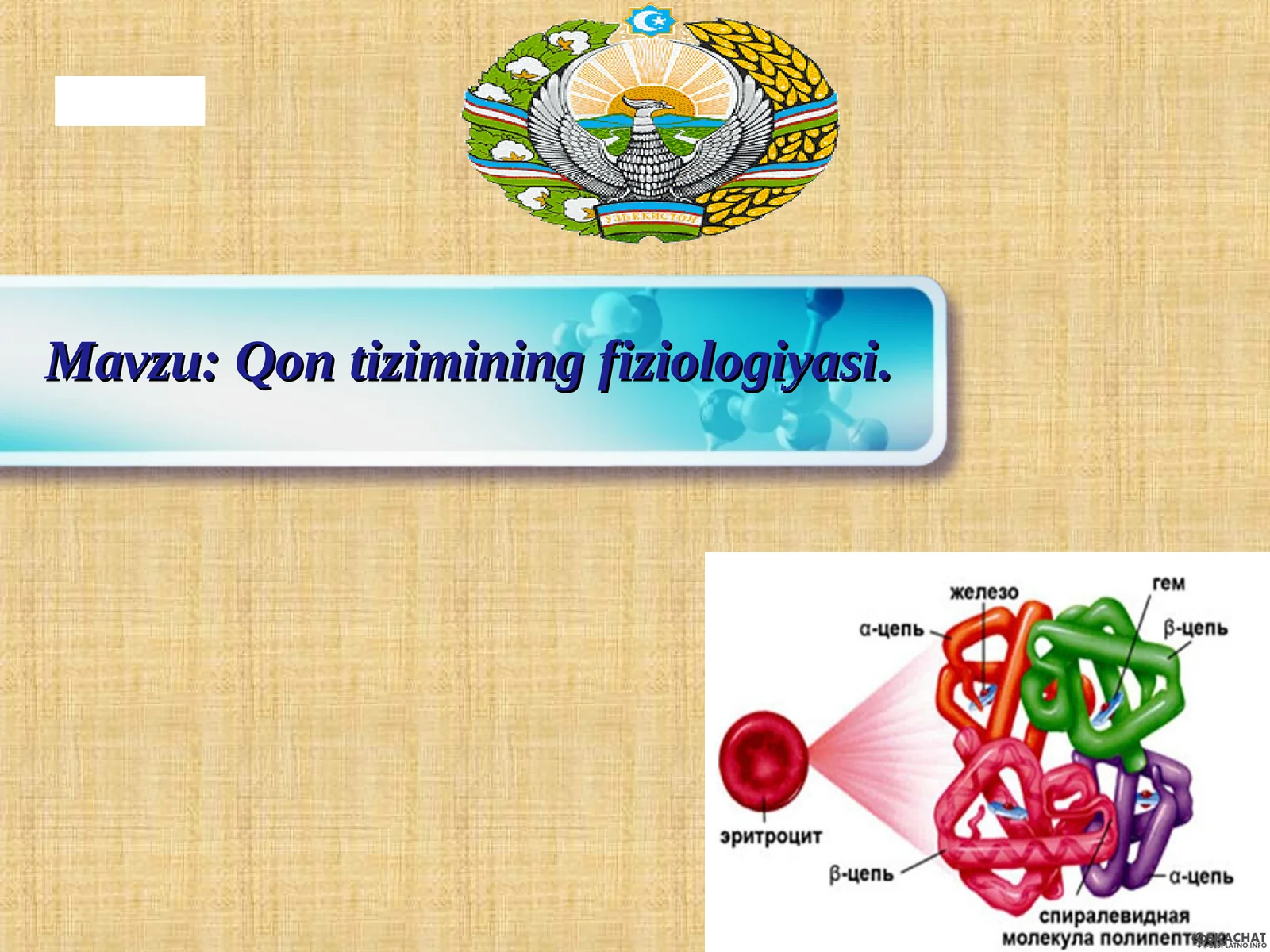 Qon tizimining fiziologiyasi